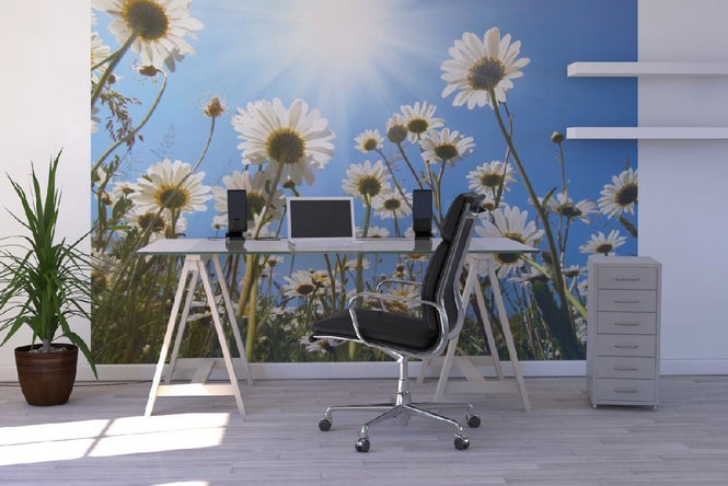 PHOTOWALL / White Daisies (e19159)