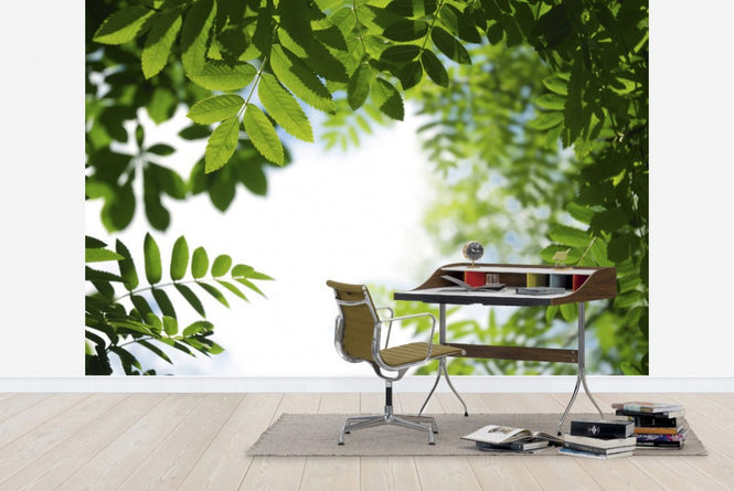 PHOTOWALL / Leaves (e19172)