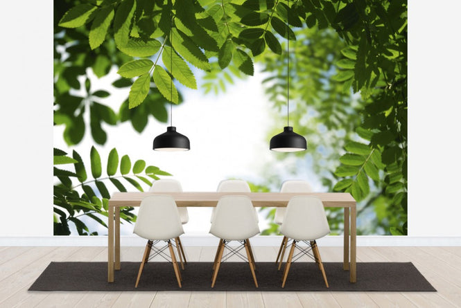 PHOTOWALL / Leaves (e19172)