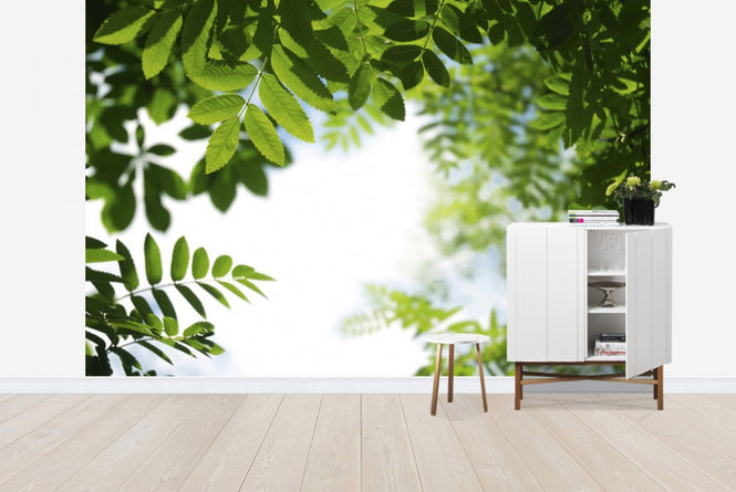 PHOTOWALL / Leaves (e19172)
