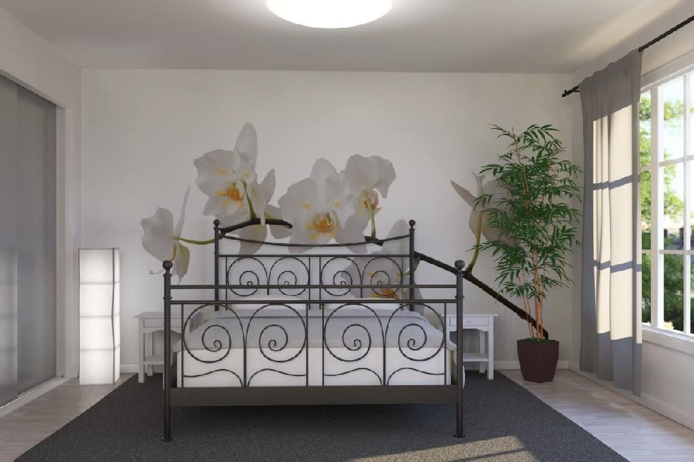 PHOTOWALL / White Orchid Stem (e1954) | 輸入壁紙専門店 WALPA