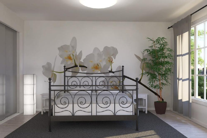 PHOTOWALL / White Orchid Stem (e1954)