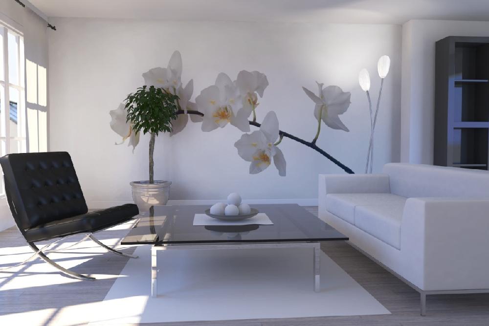 PHOTOWALL / White Orchid Stem (e1954) | 輸入壁紙専門店 WALPA
