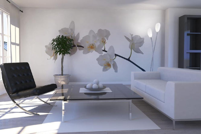 PHOTOWALL / White Orchid Stem (e1954)
