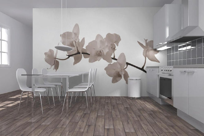 PHOTOWALL / White Orchid Stem - Sepia (e1955)