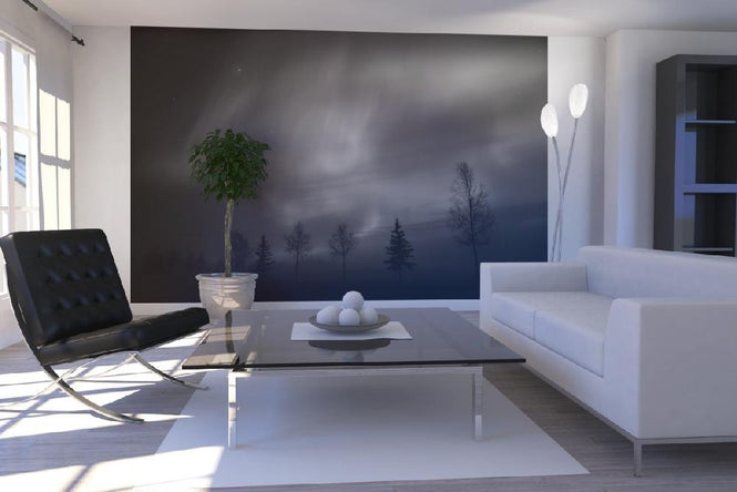 PHOTOWALL / Nordic Lights - b/w (e1961)