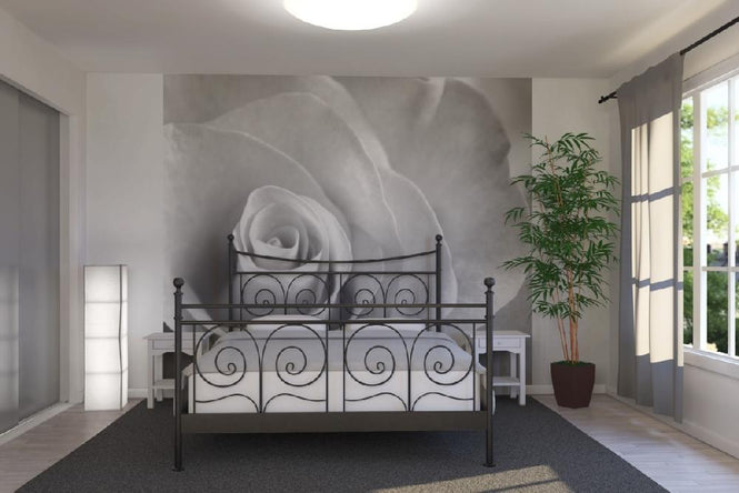 PHOTOWALL / Soft Rose - b/w (e1980)