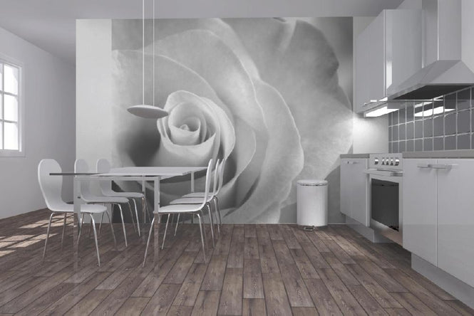 PHOTOWALL / Soft Rose - b/w (e1980)