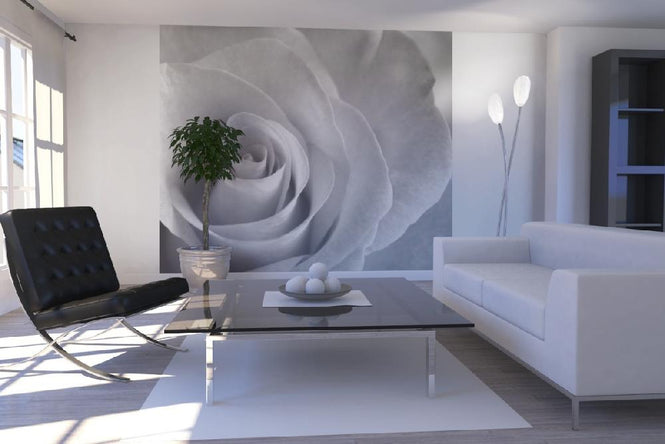 PHOTOWALL / Soft Rose - b/w (e1980)