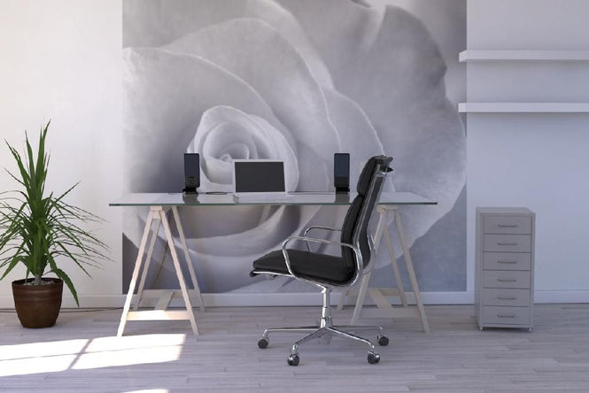 PHOTOWALL / Soft Rose - b/w (e1980)