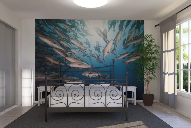 PHOTOWALL / Mangrove Snappers (e19233)