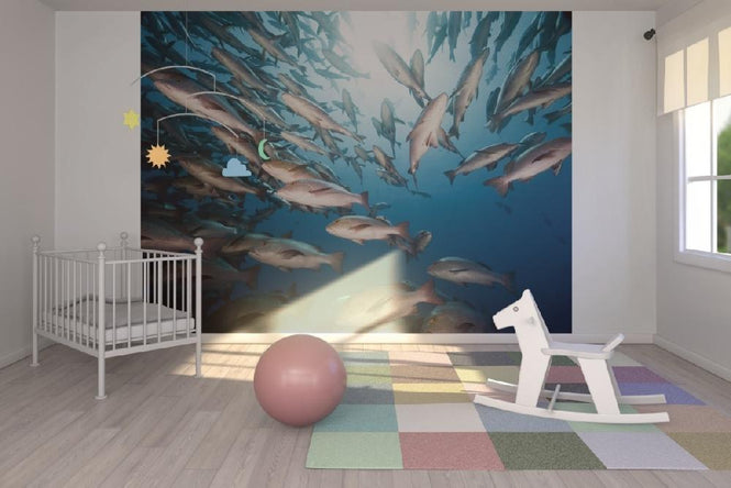 PHOTOWALL / Mangrove Snappers (e19233)