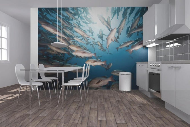 PHOTOWALL / Mangrove Snappers (e19233)