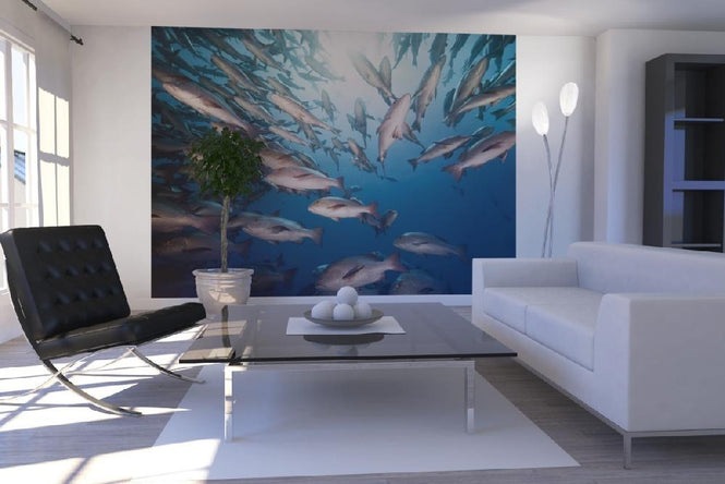 PHOTOWALL / Mangrove Snappers (e19233)