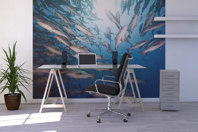 PHOTOWALL / Mangrove Snappers (e19233)