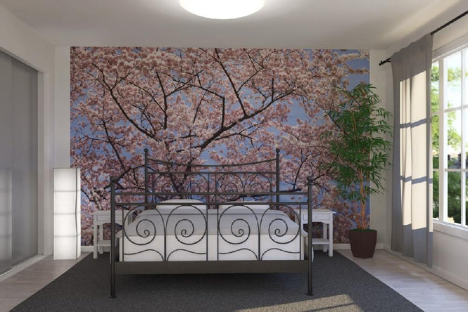 PHOTOWALL / Blooming Cherry Tree (e6249)