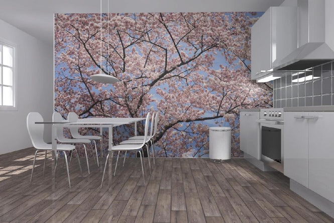 PHOTOWALL / Blooming Cherry Tree (e6249)