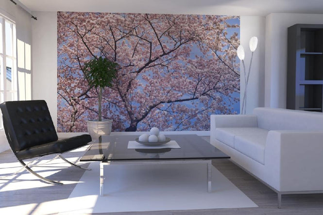 PHOTOWALL / Blooming Cherry Tree (e6249)