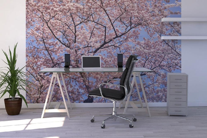 PHOTOWALL / Blooming Cherry Tree (e6249)