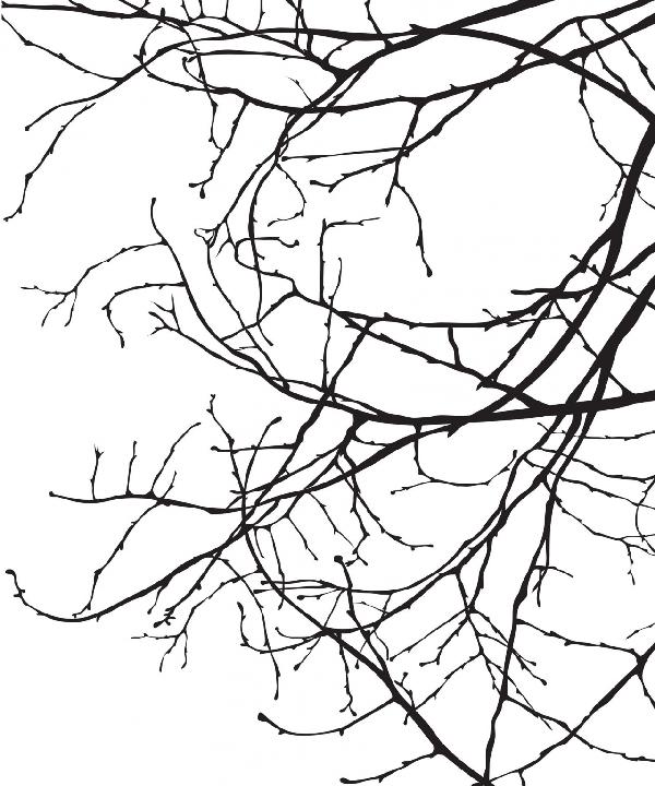 PHOTOWALL / Twiggy - Black (e6296)