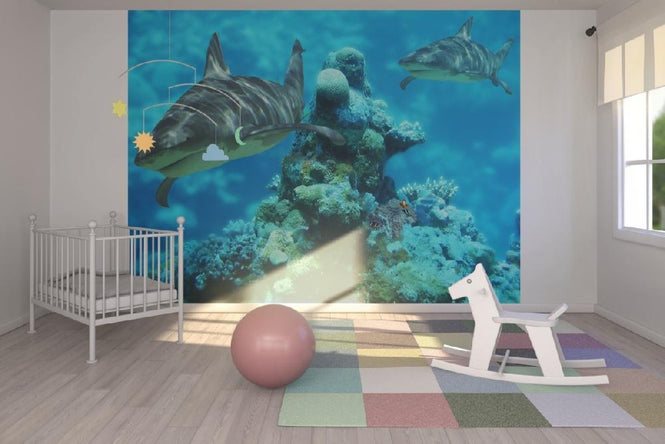 PHOTOWALL / Shark Bommie (e6315)
