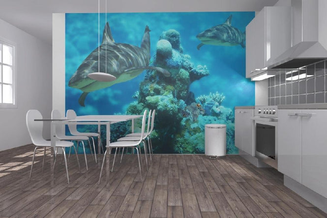 PHOTOWALL / Shark Bommie (e6315)