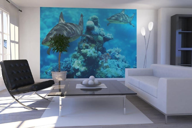 PHOTOWALL / Shark Bommie (e6315)