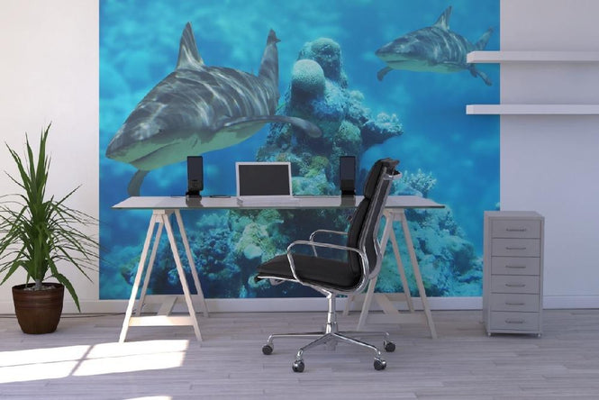PHOTOWALL / Shark Bommie (e6315)