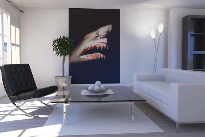 PHOTOWALL / Shark (e6339)