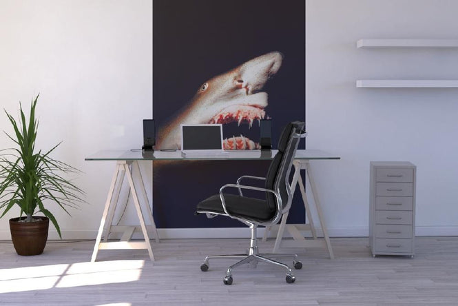PHOTOWALL / Shark (e6339)