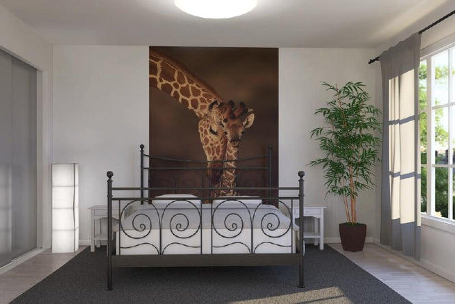 PHOTOWALL / Giraffes (e6345)