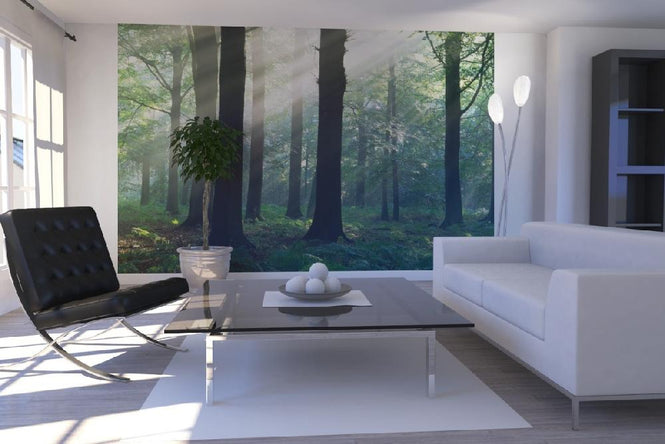 PHOTOWALL / Morning Sunshine (e6350)