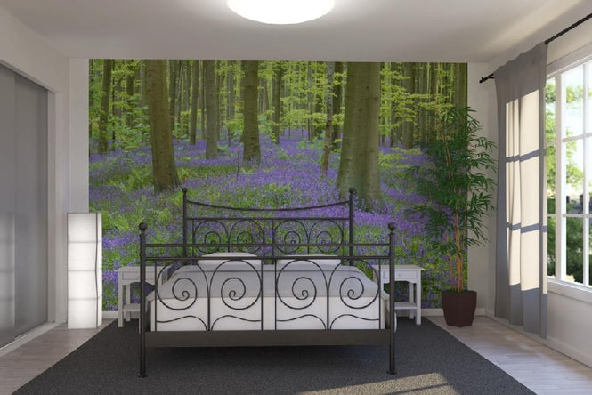 PHOTOWALL / Bluebells Wood (e6352)