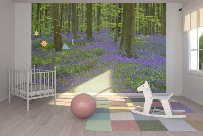PHOTOWALL / Bluebells Wood (e6352)