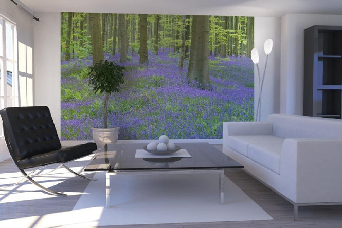 PHOTOWALL / Bluebells Wood (e6352)