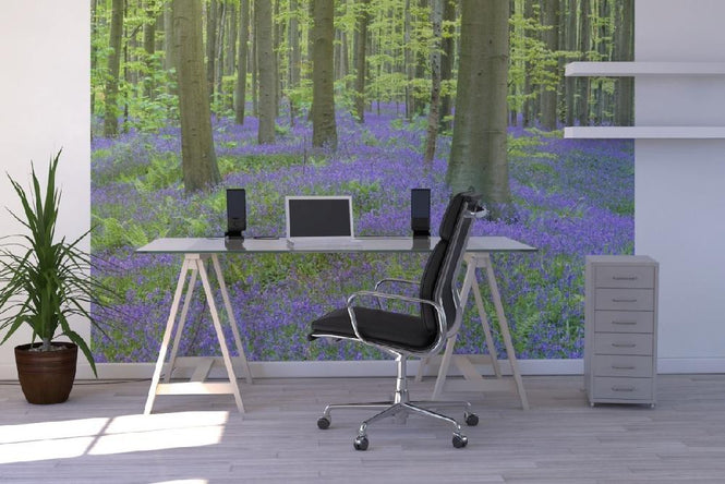 PHOTOWALL / Bluebells Wood (e6352)