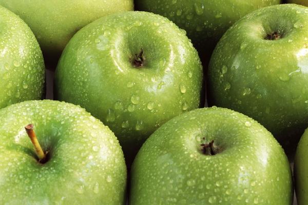 PHOTOWALL / Apples (e6415)
