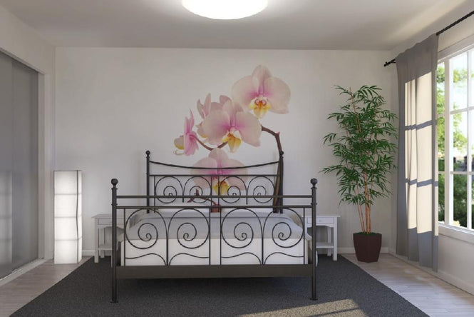 PHOTOWALL / Pink Orchid Stem (e9007)