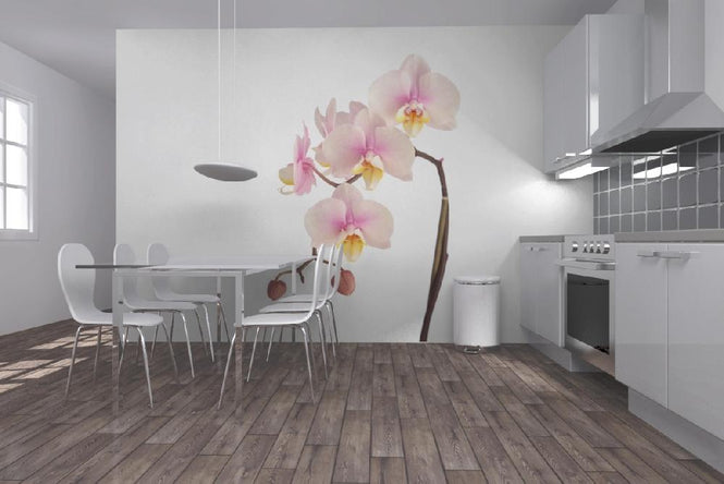 PHOTOWALL / Pink Orchid Stem (e9007)