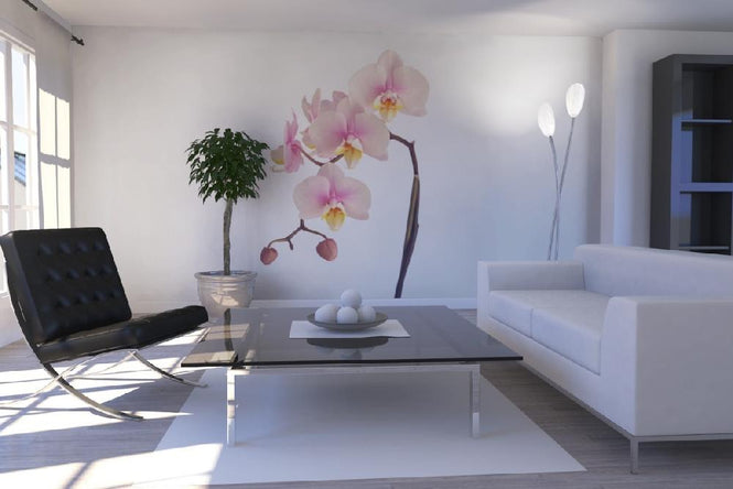 PHOTOWALL / Pink Orchid Stem (e9007)