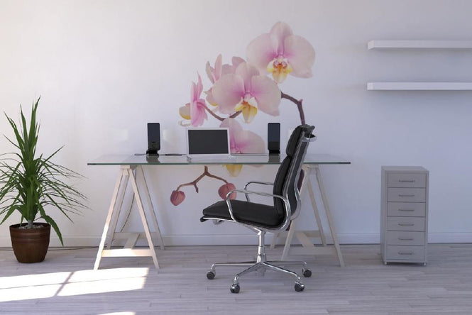 PHOTOWALL / Pink Orchid Stem (e9007)