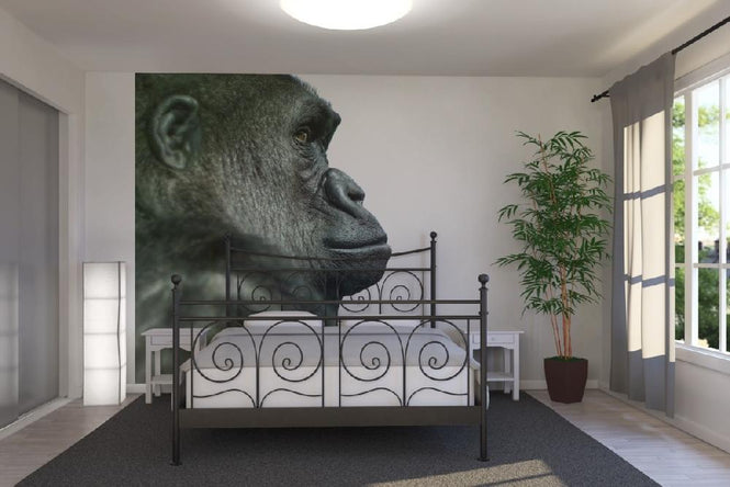 PHOTOWALL / Gorilla (e9008)