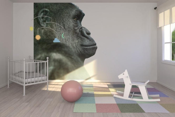 PHOTOWALL / Gorilla (e9008)