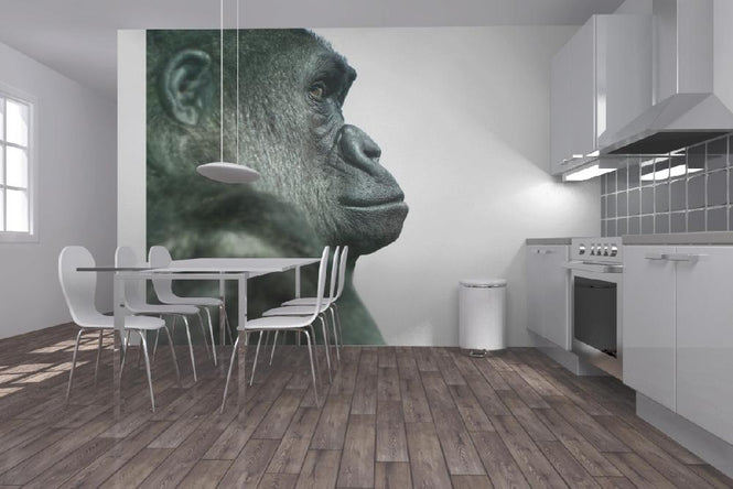 PHOTOWALL / Gorilla (e9008)