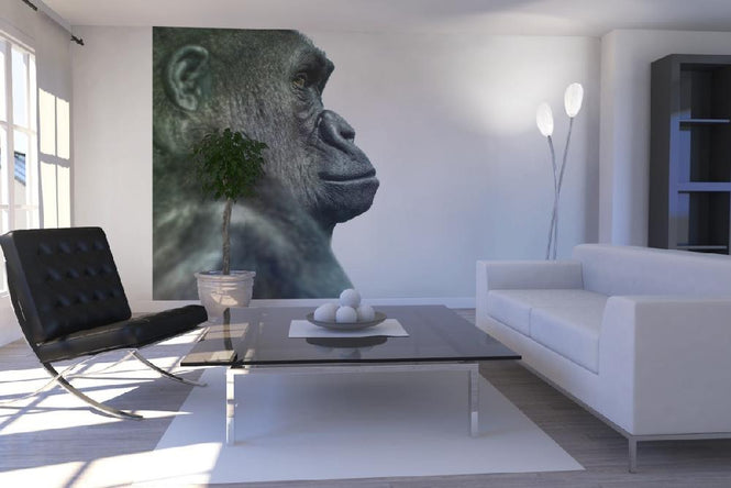PHOTOWALL / Gorilla (e9008)