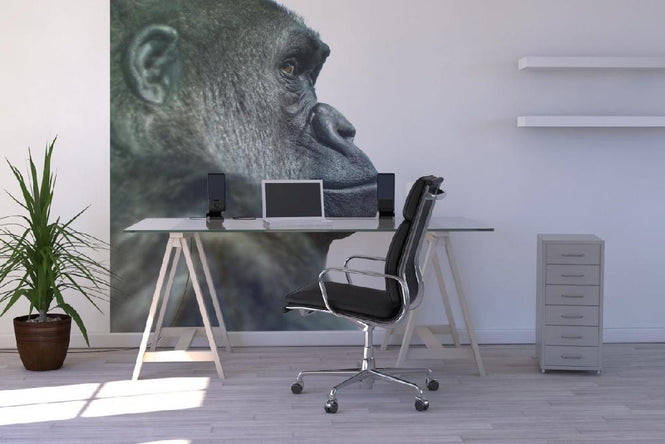 PHOTOWALL / Gorilla (e9008)