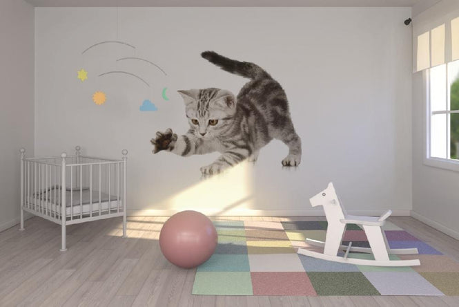 PHOTOWALL / Grabbing (e9011)