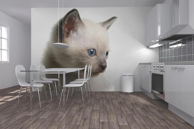 PHOTOWALL / Downy (e9019)
