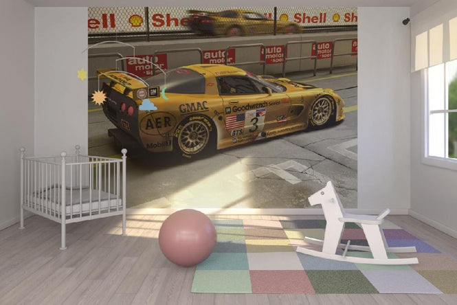 PHOTOWALL / Corvette In Pit Lane (e12082)