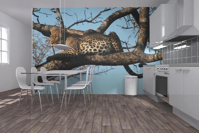 PHOTOWALL / Leopard in Tree (e10004)
